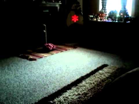 Rapture